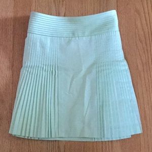 J. Crew Skirt